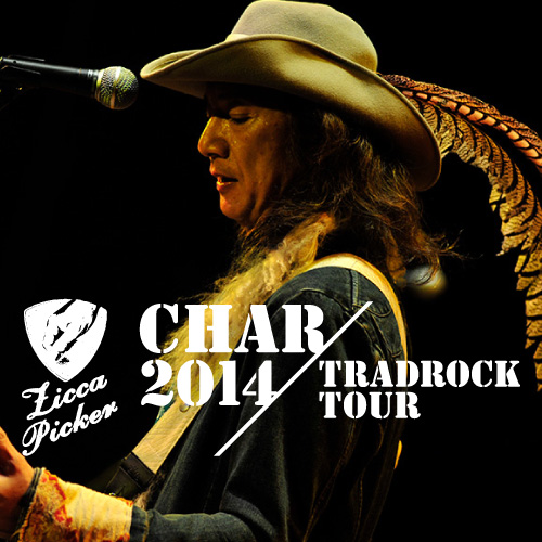 STREAM – ZICCA NEWS