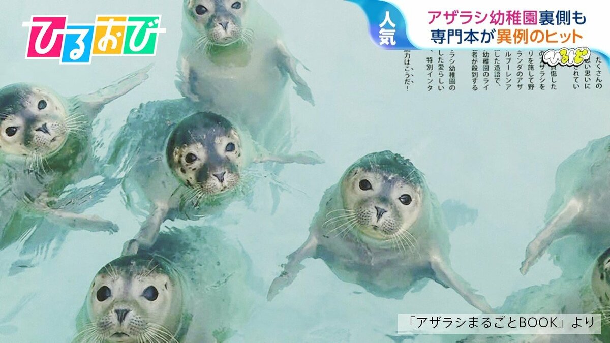 アザラシ専門本』なぜ異例のヒット？きっかけは“アザラシ幼稚園”「保護