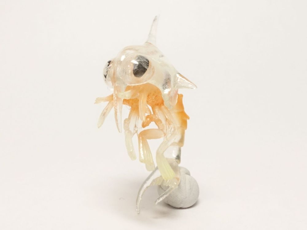 カプセルQミュージアム ミクロコスモス プランクトン大全