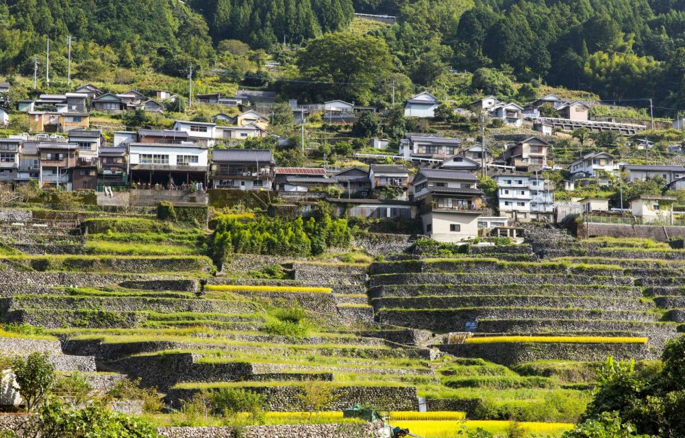 長者の棚田 | 観光スポット | 一般社団法人 仁淀ブルー観光協議会