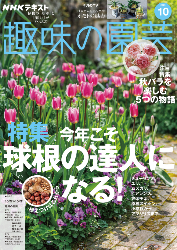 NHK 趣味の園芸 2025年10月号 | NHK出版