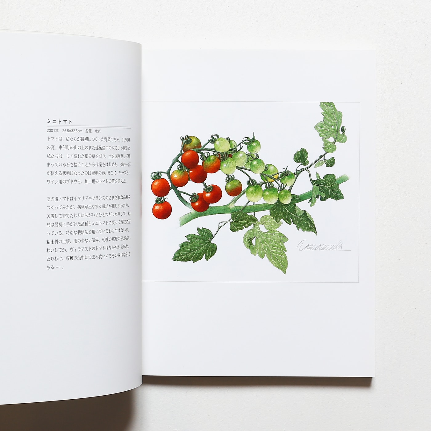 Tamamura Toyoo Harvest 玉村豊男収穫画集 | nostos books ノストス