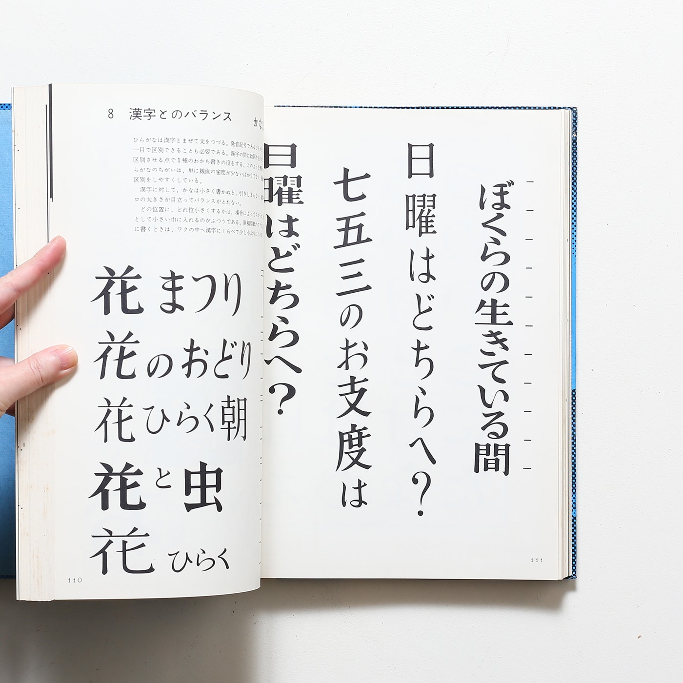 日本字デザイン | 佐藤敬之輔 | nostos books ノストスブックス