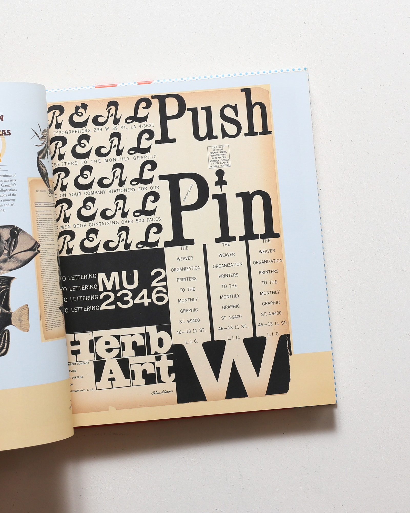 The Push Pin Graphic | nostos books ノストスブックス