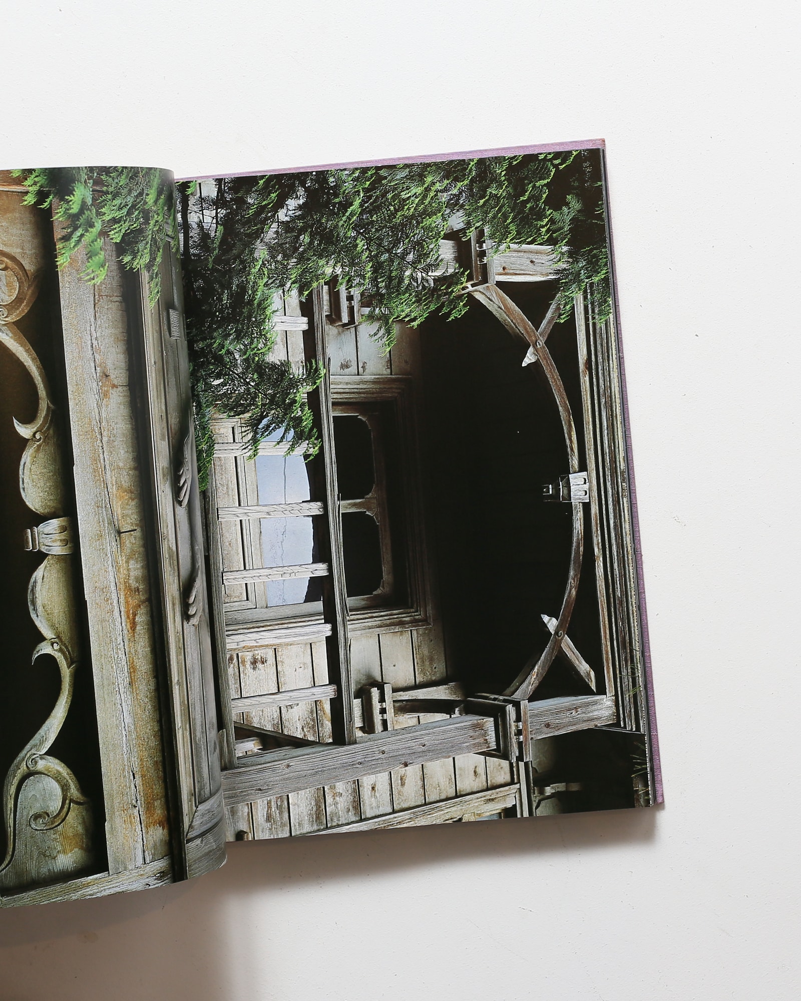 建築紅花青鳥図 | 増田彰久、塚本邦雄、藤森照信 | nostos books