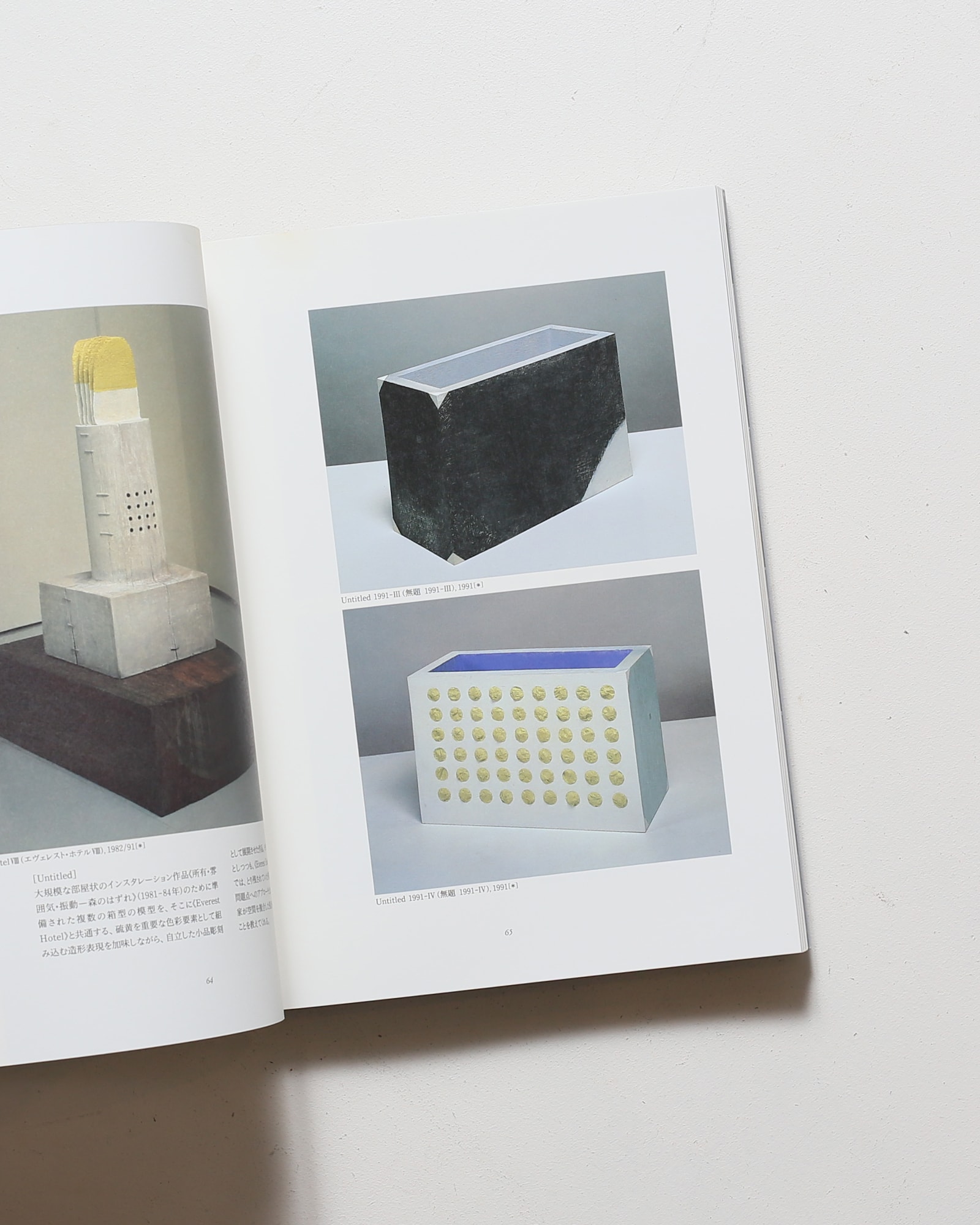 Isamu Wakabayashi 若林奮 1989年以後 | 神奈川県立近代美術館