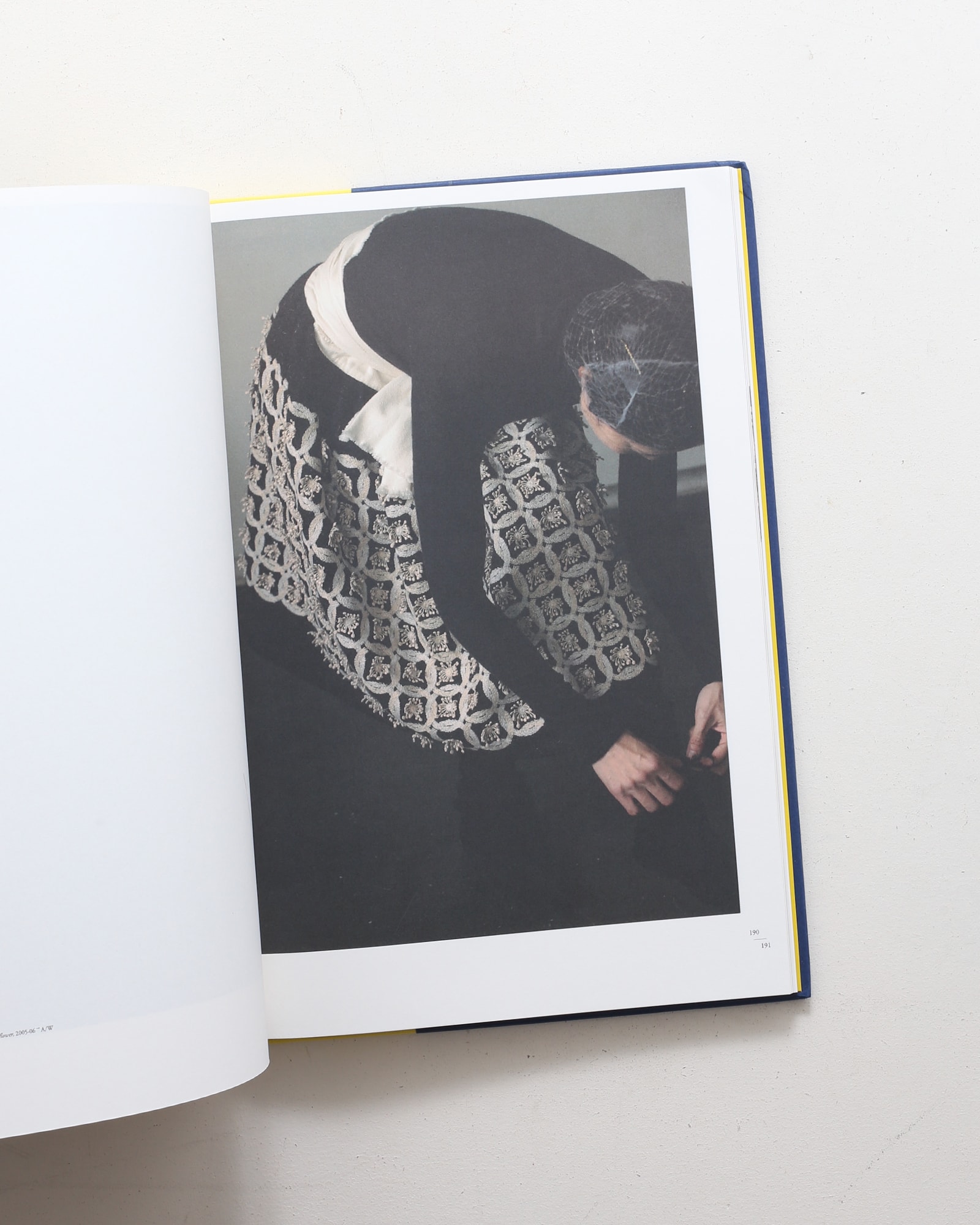 Mina Perhonen: Ripples | Akira Minagawa | nostos books ノストス