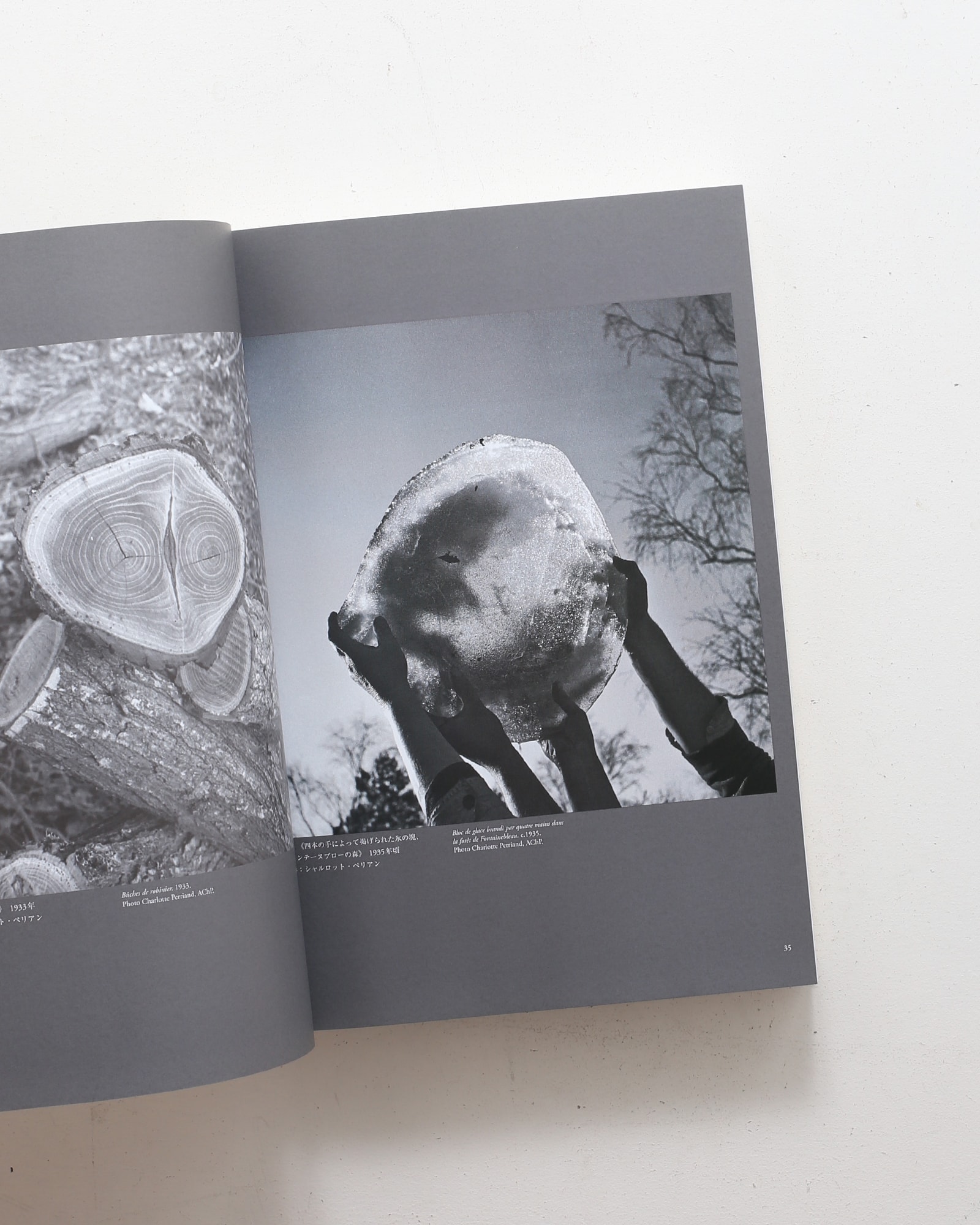 シャルロット・ペリアンと日本 | 鹿島出版会 | nostos books ノストス