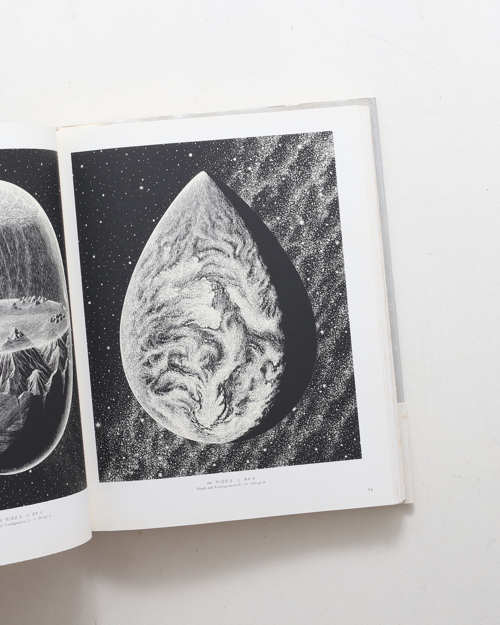 柄澤齊 木口木版画集 | 阿部出版 | nostos books ノストスブックス