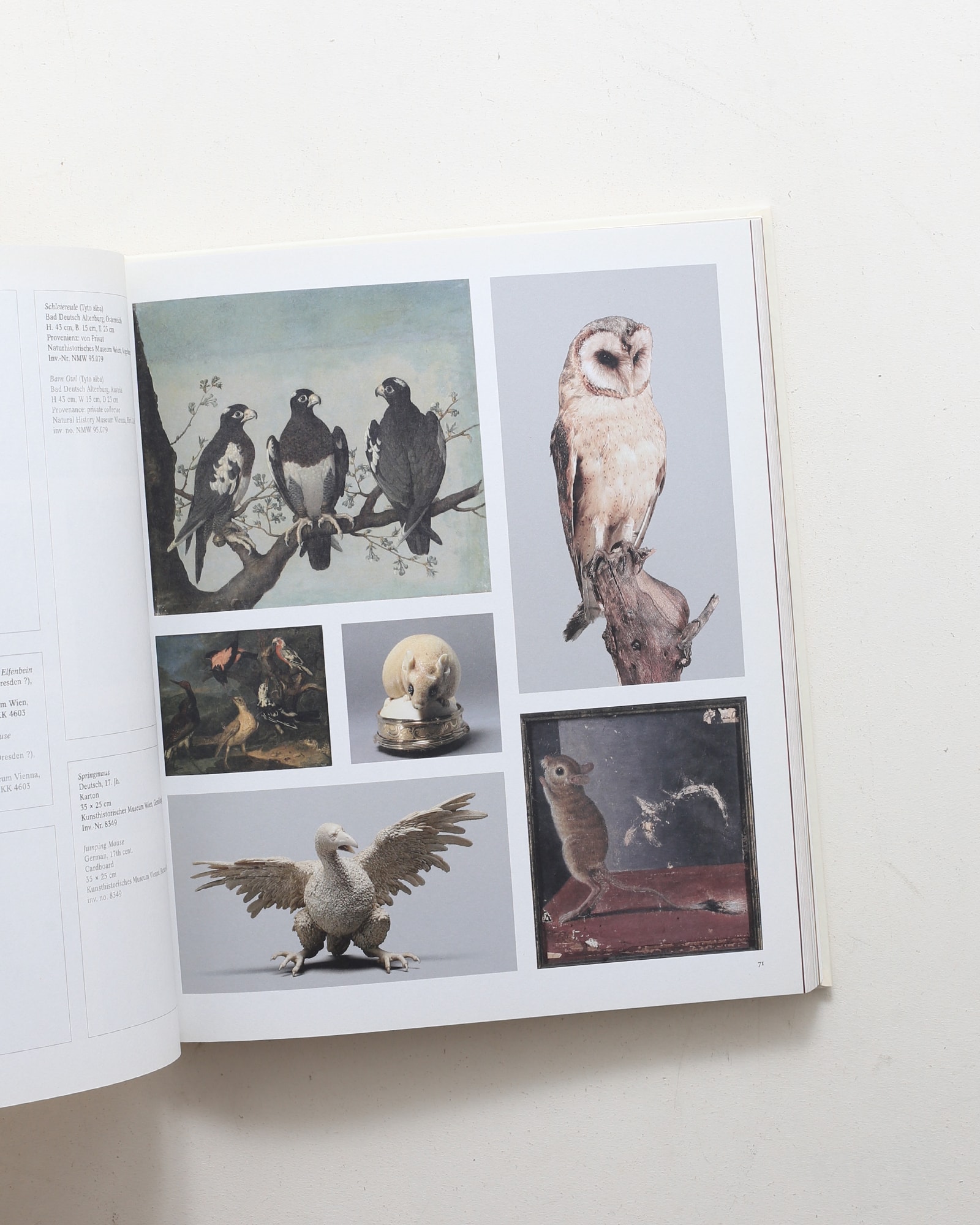 Spitzmaus Mummy in a Coffin and Other Treasures | Wes Anderson