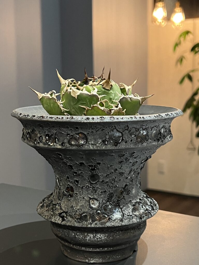 カタチ製作所 レザー 鉢 カタチ製作所の陶器鉢はどう買うの？購入方法