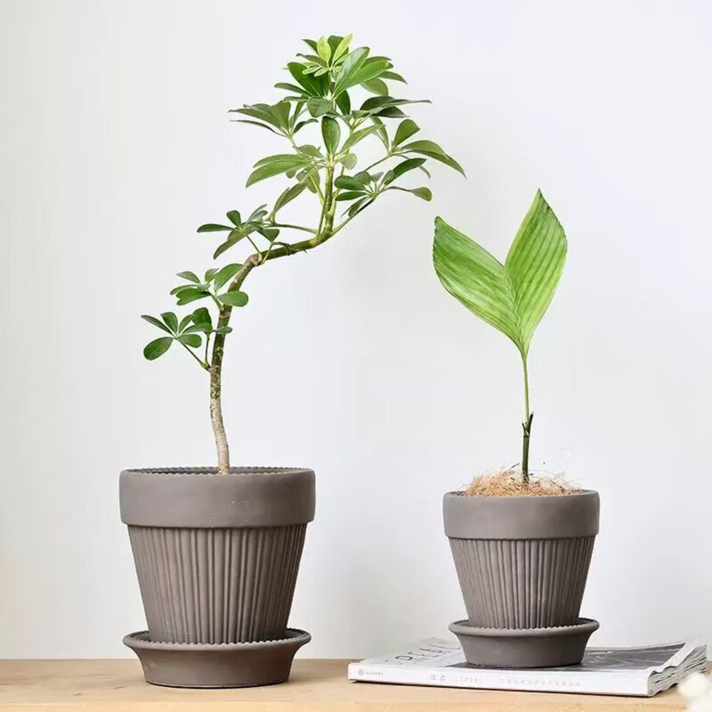 5-6号｜ブラック ブラウン｜おしゃれで可愛い鉢｜受け皿付｜カヌレ鉢