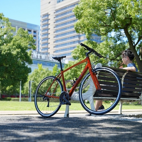 GIANT ( ジャイアント ) クロスバイク ESCAPE RX 3 ( エスケープ RX3