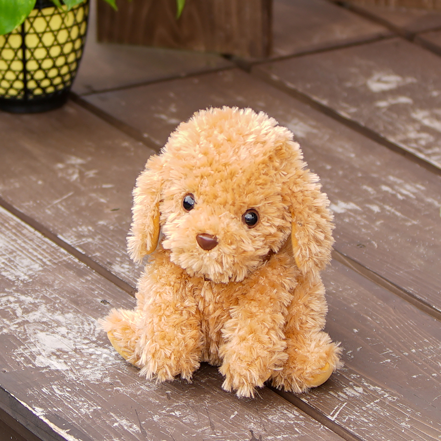 おしゃべりトイプードル公式サイト - おしゃべり好きなキュートなトイ