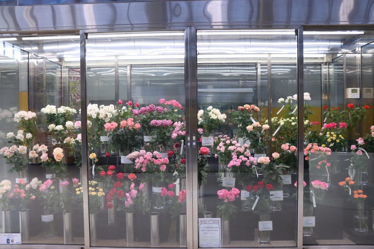 秋を彩る 最新バラCollection - 株式会社大田花き