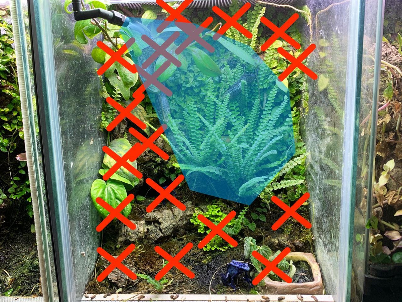 MONSOON MULTI テラリウム用ミスティングシステム 8L モンスーンソロ