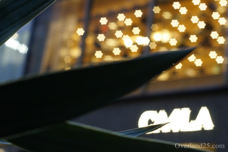 Industar-61 L/Z MC 50mm F2.8 – 星ボケで人気のロシアレンズ