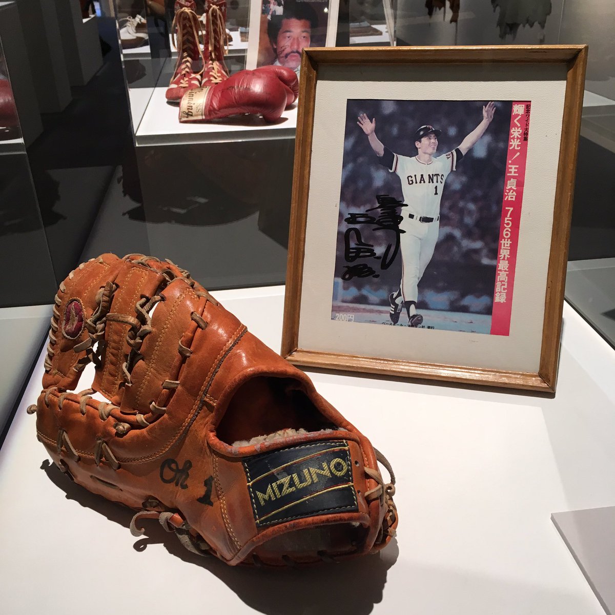 ワンちゃんのファーストミット/チョーさんのトレーニングシューズ