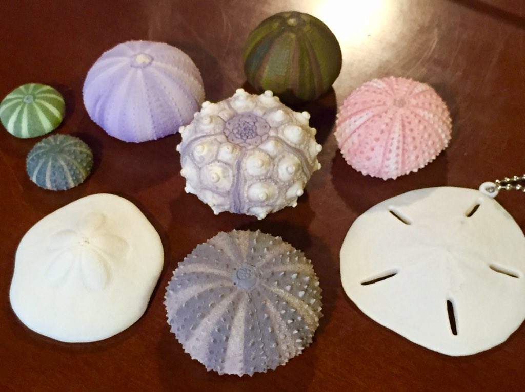 新作情報】全国のキョクヒャーのみなさま、ついに作ってしまいました