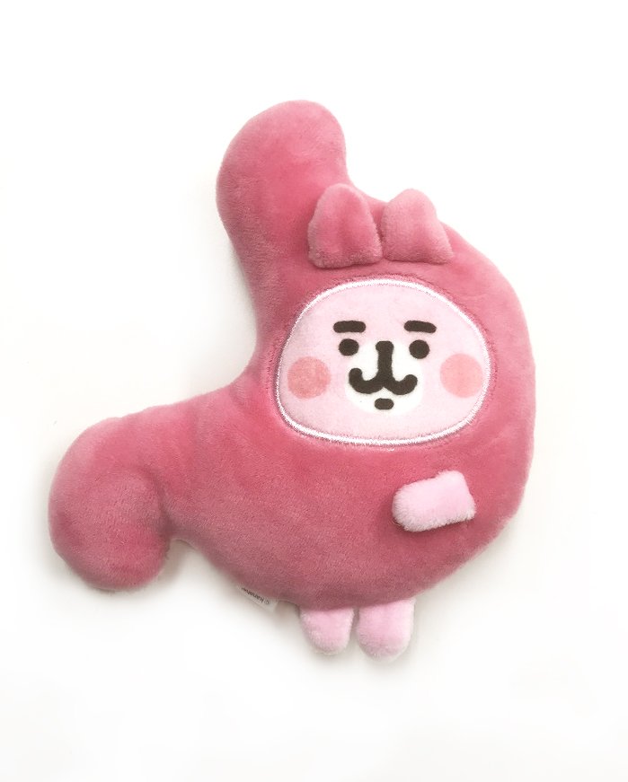 人体展グッズ、売り切れだった「胃の着ぐるみのうさぎ」と「ホネうさぎ