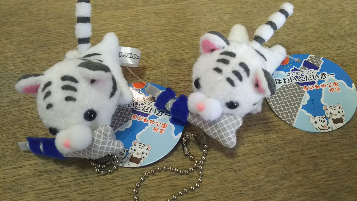 涙「ファンの皆にお土産も買ったよ」 海「スカイツリーをくわえた