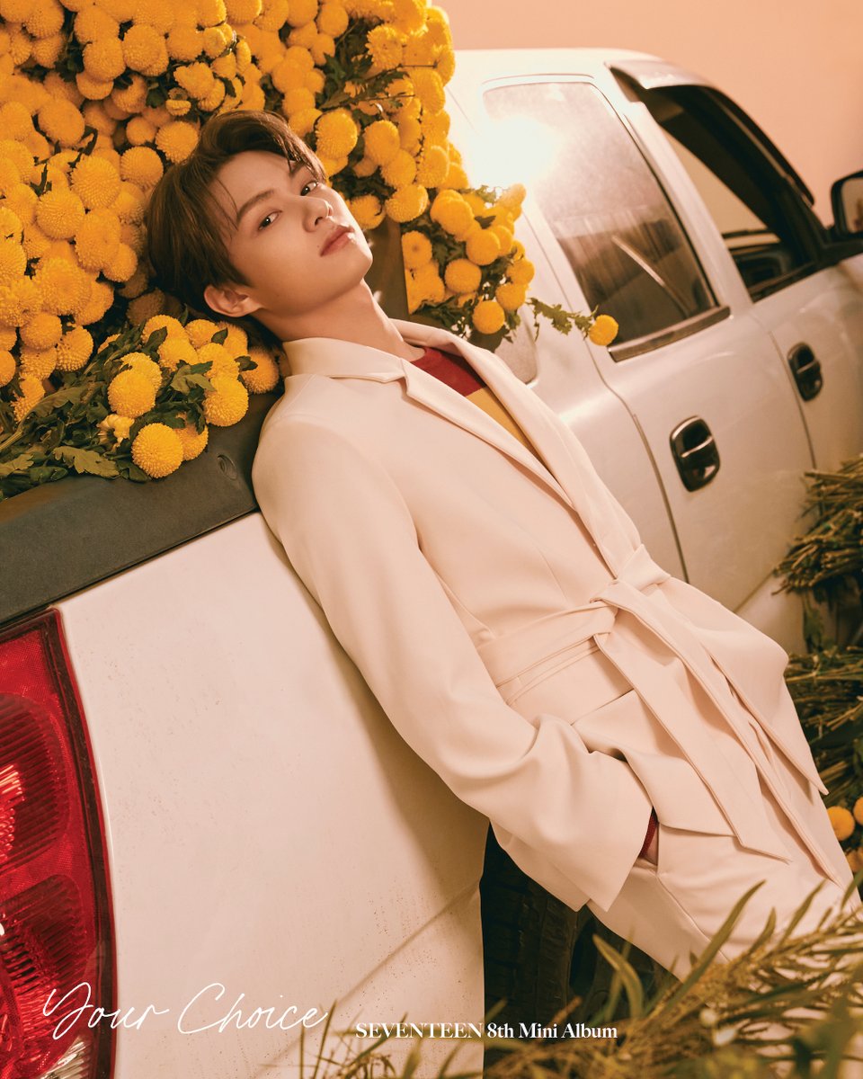 SEVENTEEN 8th Mini Album 'Your Choice' Official Photo ONE SIDE Ver