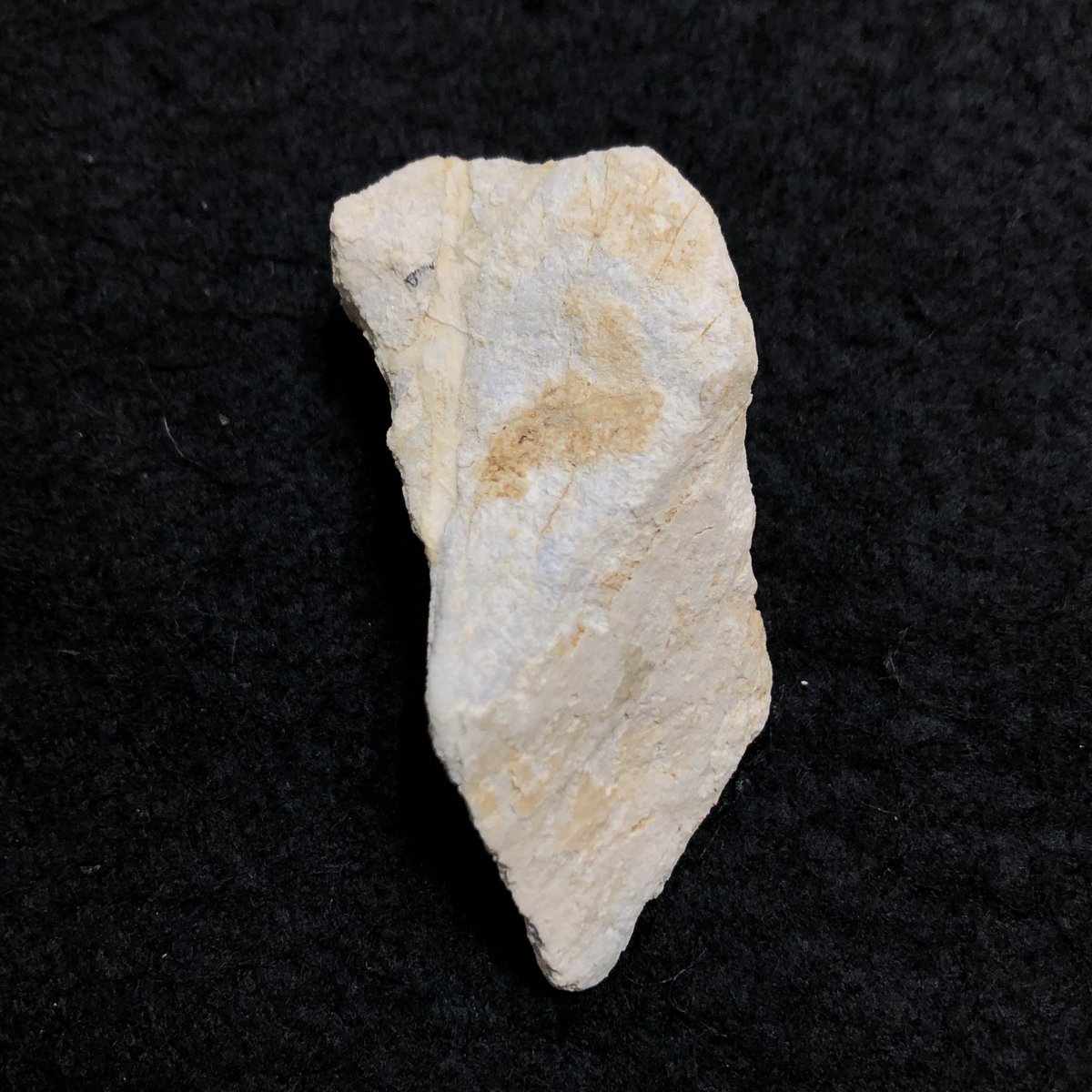 大佐山のヒスイ輝石】岡山県新見市大佐町大佐山産。 一見するとヒスイ