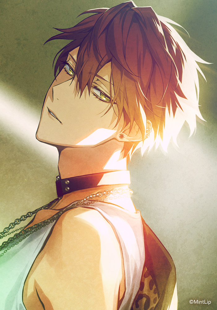 DIG-ROCK ディグロ 茜 AKANE セット 83)ディグロ DIG-ROCK 日暮 茜