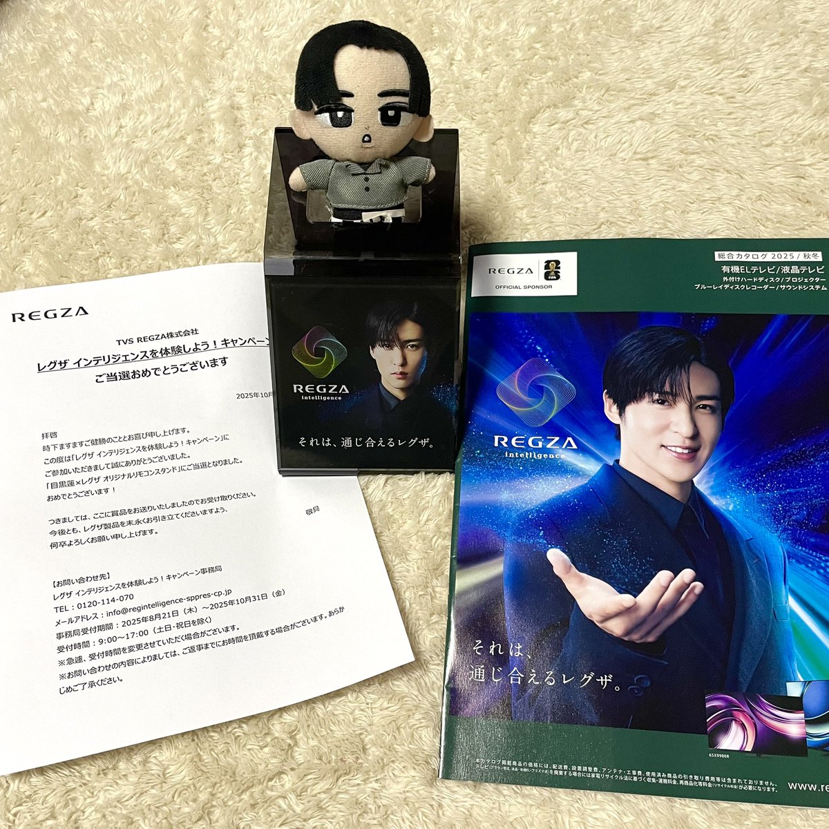 目黒蓮 リモコンスタンド 目黒蓮 REGZA 限定記念品 リモコンスタンド