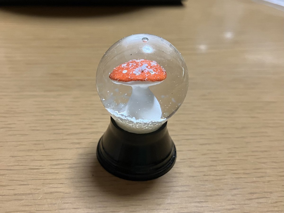 ⑨アトリエトヨコ きのこのこ ⑨アトリエトヨコ きのこのこ