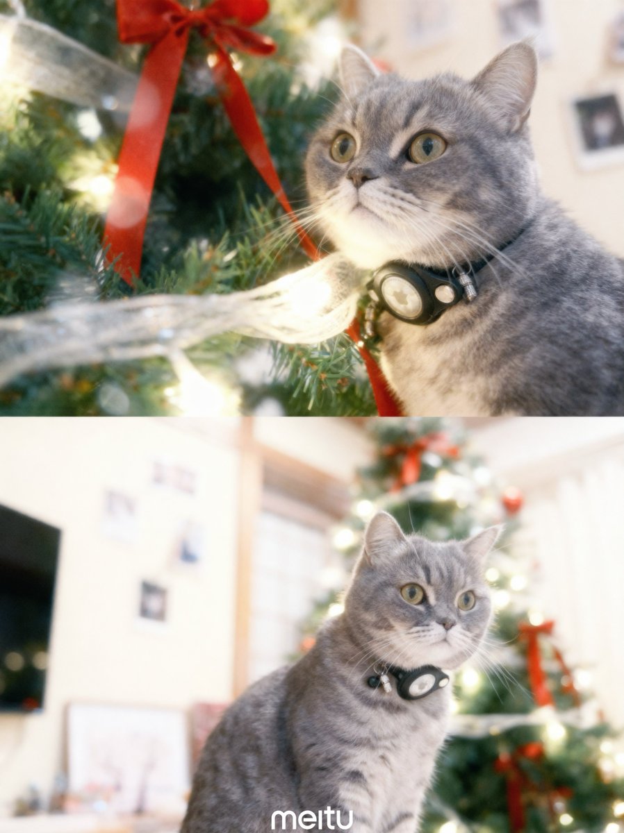 いわし先生 (@IWASHI_0723) / Posts / X