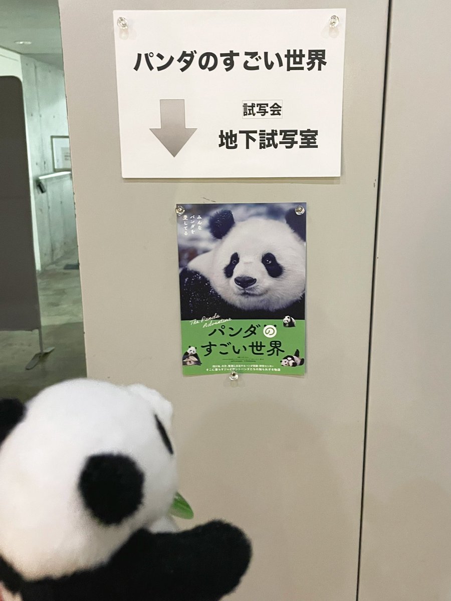 はじめまして！ 映画『#パンダのすごい世界』 宣伝大使の