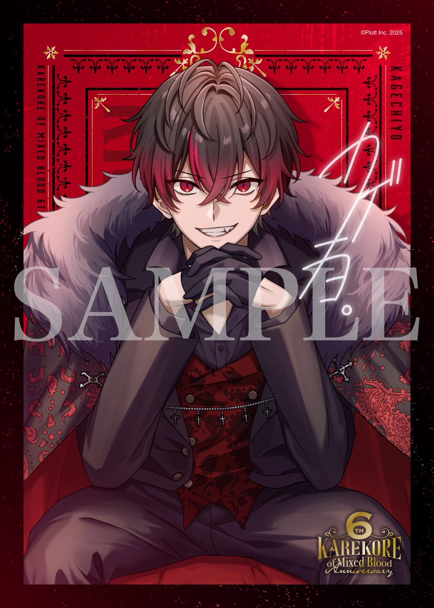 ┎┈┈┈┈┈┈┈┈┈┈┈┈┈┈┈┈┈┒ カレコレ6周年記念