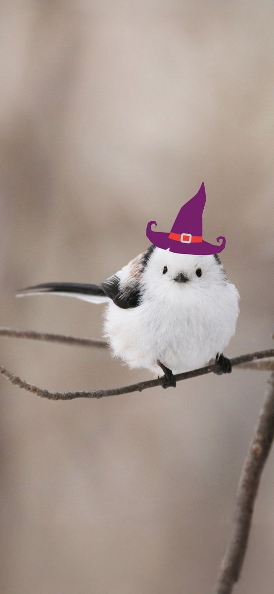 おはよう（・▴・）