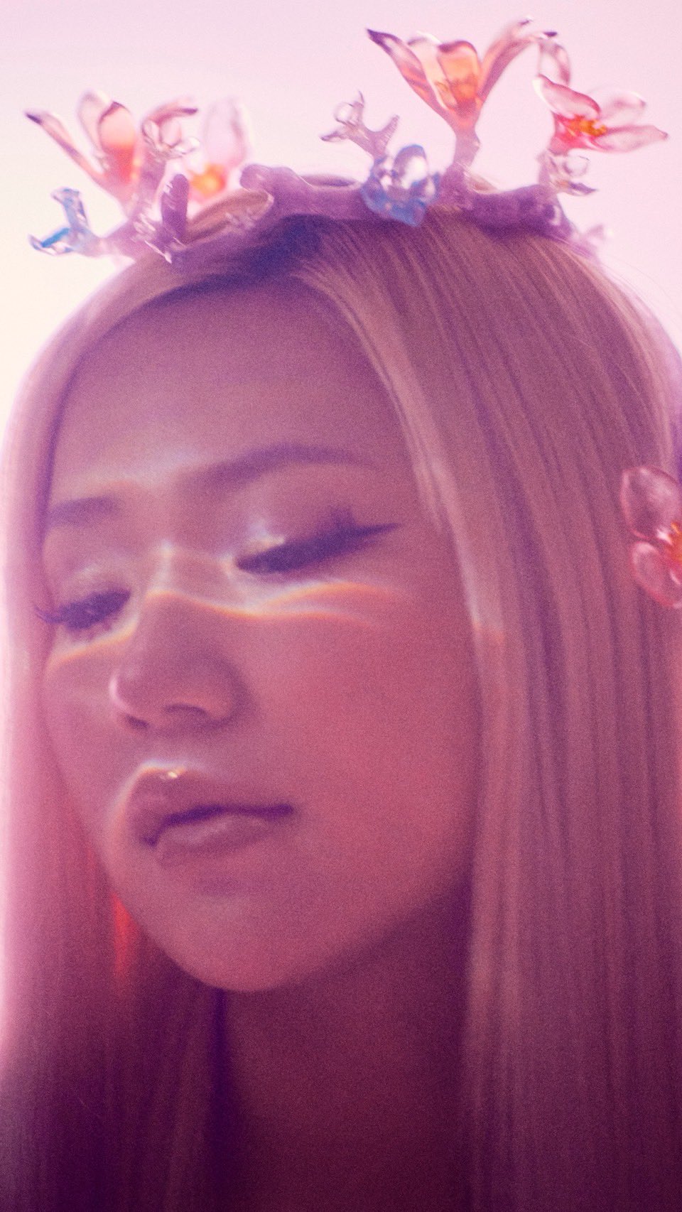 LANA 横浜アリーナ VIP 特典 限定 Like a Flower