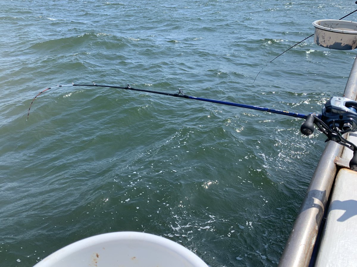 極鋭ライトアジ165テクから4年。 新基軸のライトアジ竿 🆕『極鋭