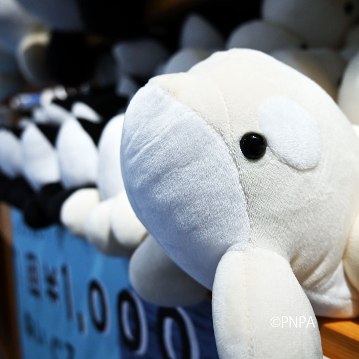 大人気の #ぬいぐるみくじ を、GW期間中開催します！ 1回1000円で