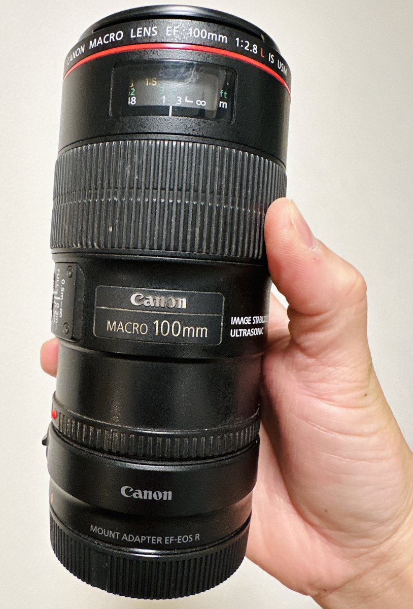 11年間世界中で使用してきたキャノンの100mmマクロ。 野外撮影の生き物