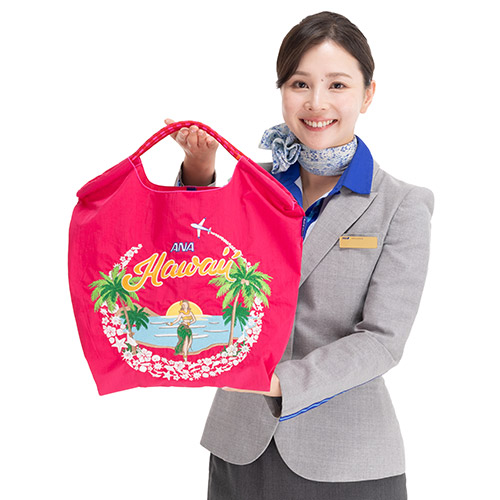 人気の #ボールアンドチェーン と #ANA の初コラボ🎉 オリジナル #エコ