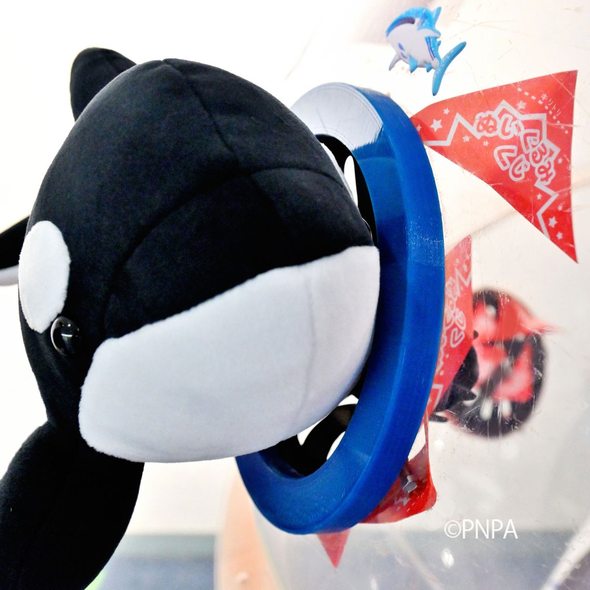 ぬいぐるみくじ、9月の3連休も開催決定しました☆ □開催日➡9月14日