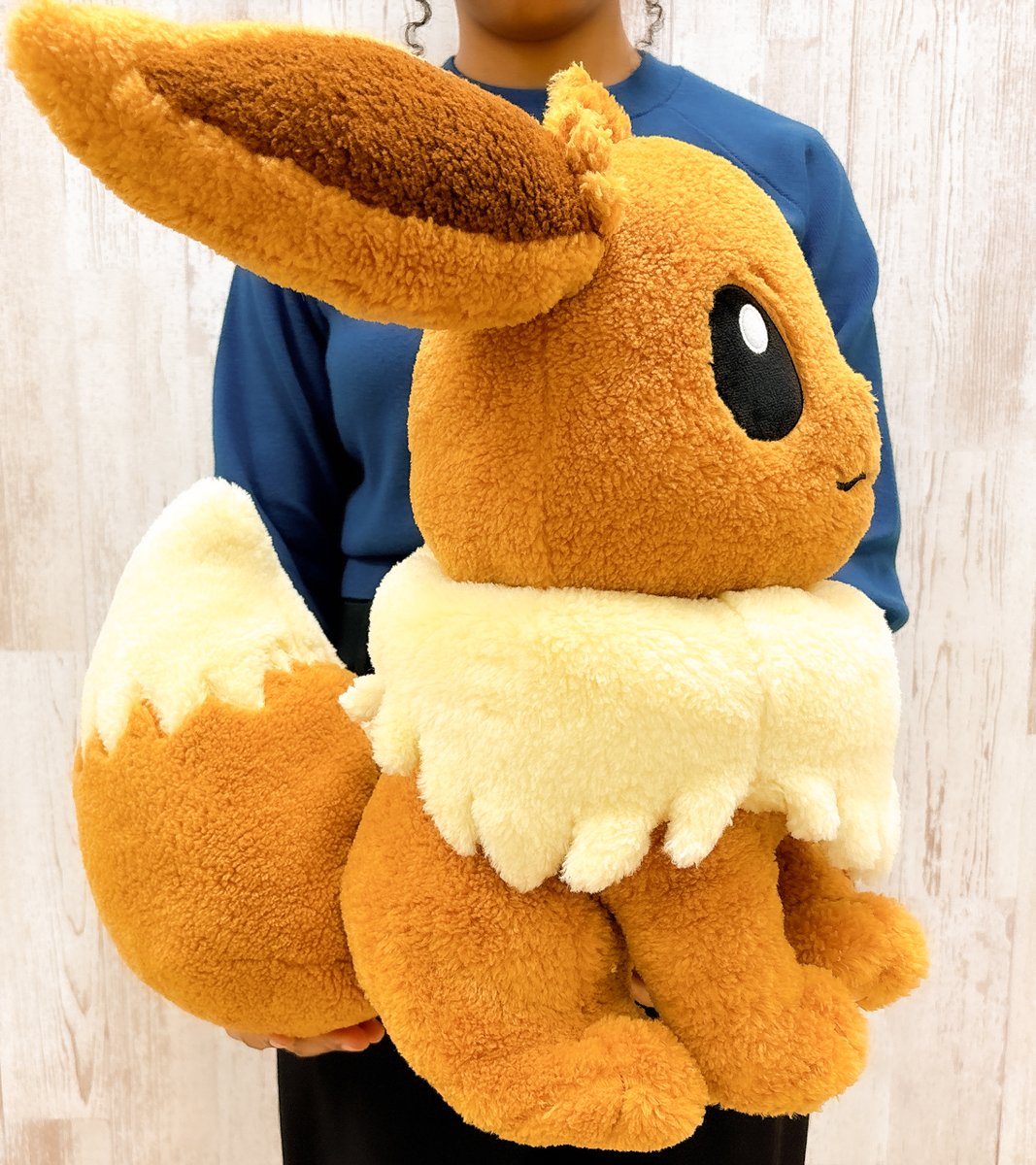 イーブイ のクラシックボアぬいぐるみが登場するよ！ 約40cmサイズで