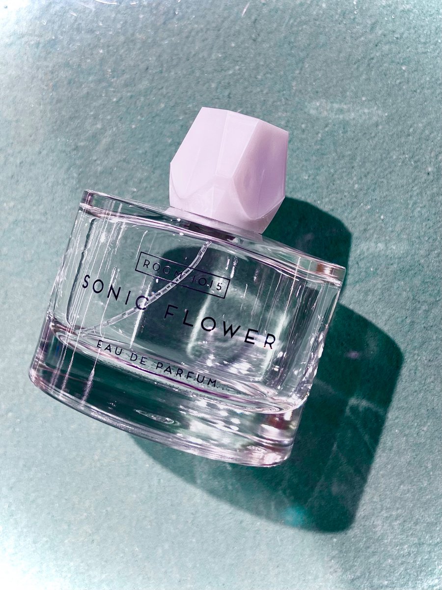 Room1015｜ソニックフラワー 音楽界に革命を起こしたロックバンドの