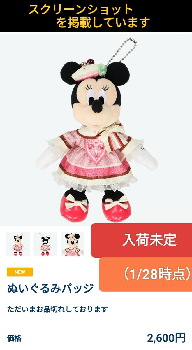 ヴァネパル 〉品切れ ミニーちゃん ぬいば 再販未定 パルパル