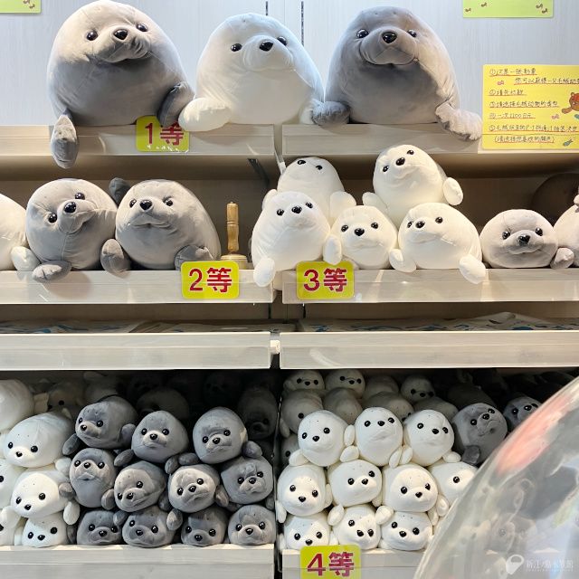 ぬいぐるみクジ アザラシ 再開です🙌 1～4等のどれかが必ず当たり