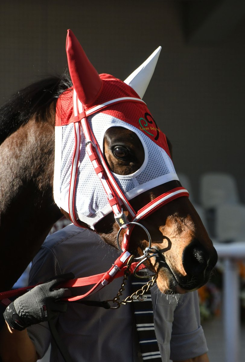 ラブのポーズに目が行きがちだけどウマ娘ラヴズオンリーユー、赤白