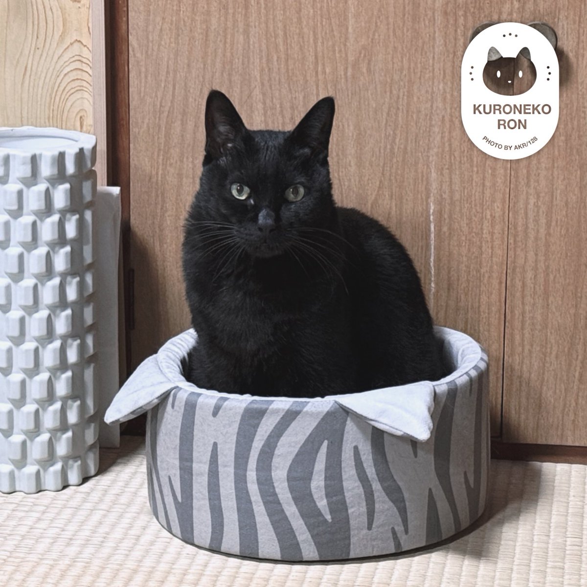 黒猫様 専用ページ 黒猫様専用ページ 黒猫様専用 公式通販