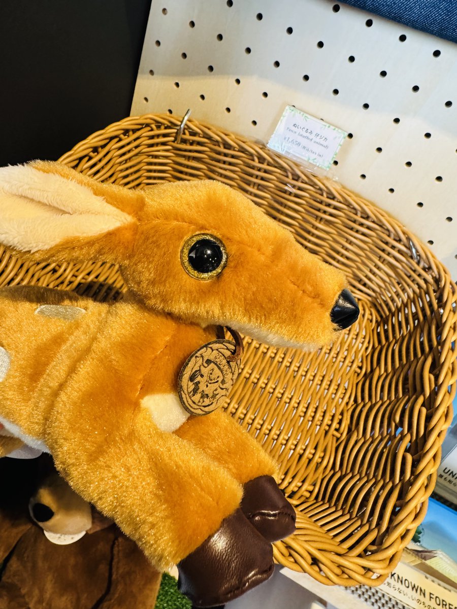 住友館のショップにあった、鹿のぬいぐるみ。 きょう見たら残り3匹に