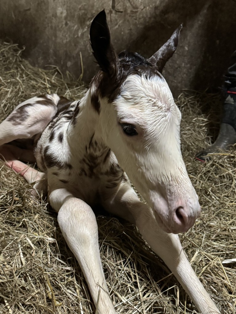 ひでろう1978 (@hiderou1978) / Posts / X