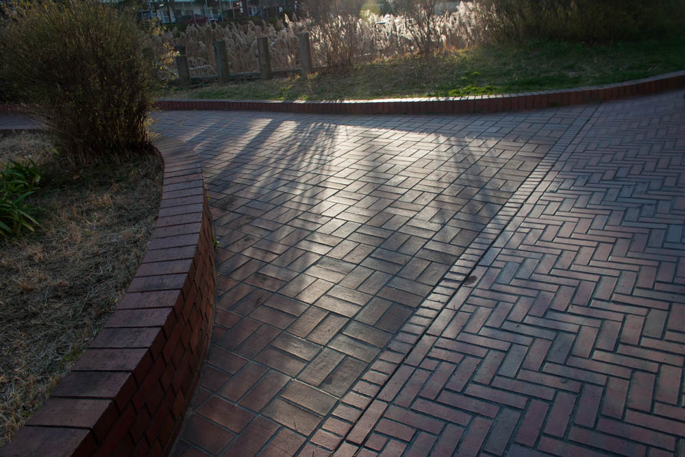 夕方の散歩 Canon EOS Kiss Digital EF-S 18-55mm f3.5-5.6II USM 散歩