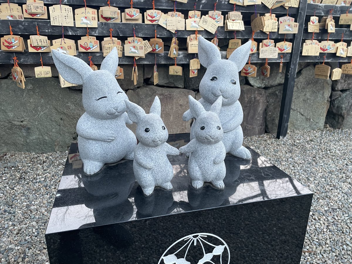 ウサギも沢山いた！